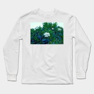 Maui Resort Study 10 Long Sleeve T-Shirt